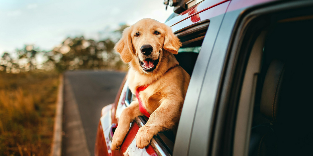 Packing Tips for a Road Trip Along Mexico’s Coastline